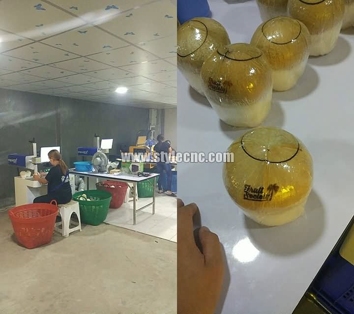 椰子激光打標機