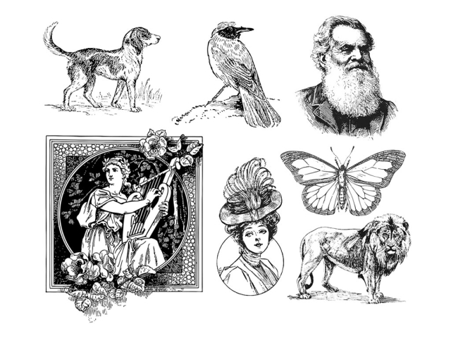 免費(fèi) 2D/3D 激光蝕刻機(jī)的激光雕刻矢量文件