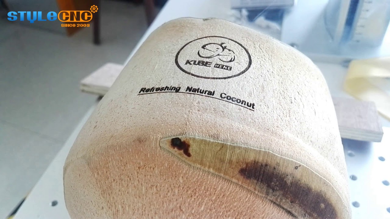 3套 CO2 美國 Galvo 激光雕刻機(jī)用于椰子